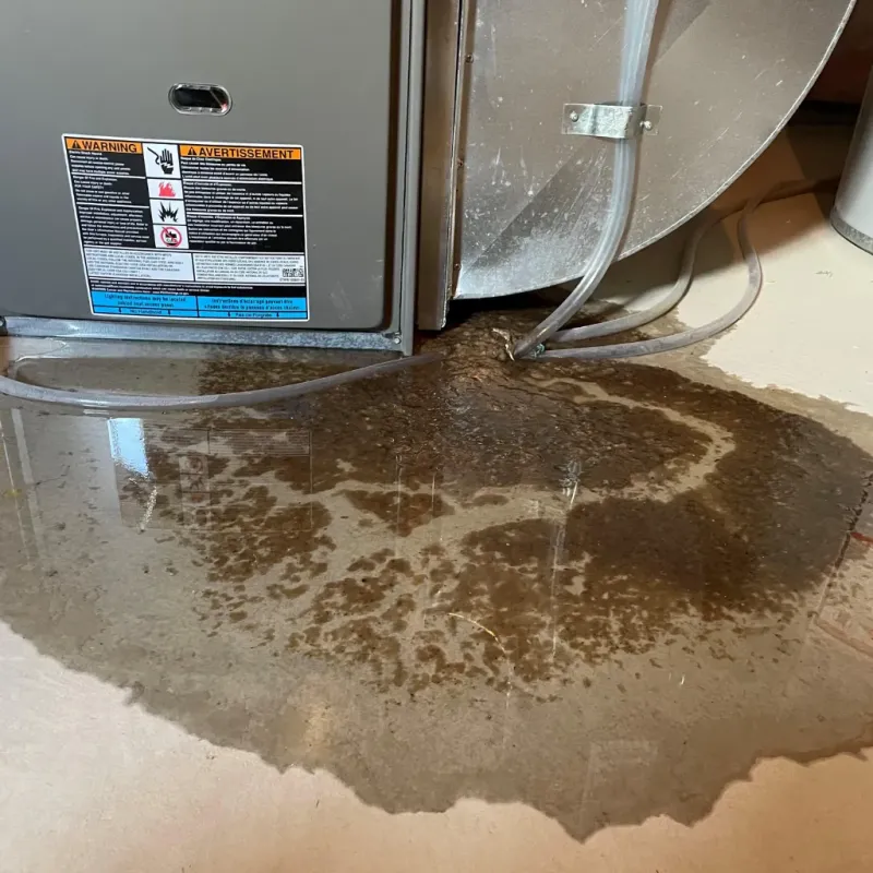 Appliance Leak Cleanup in Jasper, AL